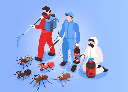Residential & commercial pest control in Ottawa - Pest control near me