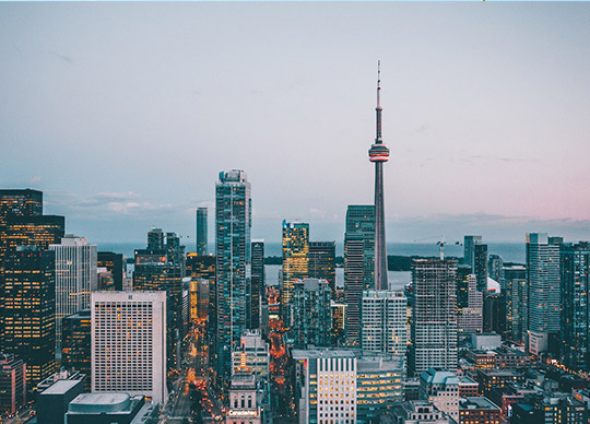 Pest Control in Ottawa - The common pests that trouble the residents of Ottawa are ants, termites, cockroaches, bed bugs, mice, and insects